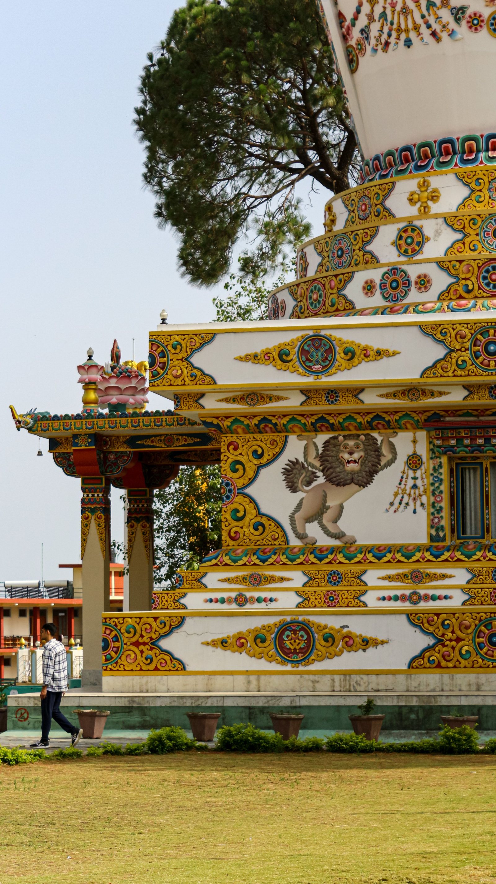 Bir Billing, Rajgundha & Barot Volvo Adventure Tour Package from Delhi – 3 Nights / 4 Days gallery 3
