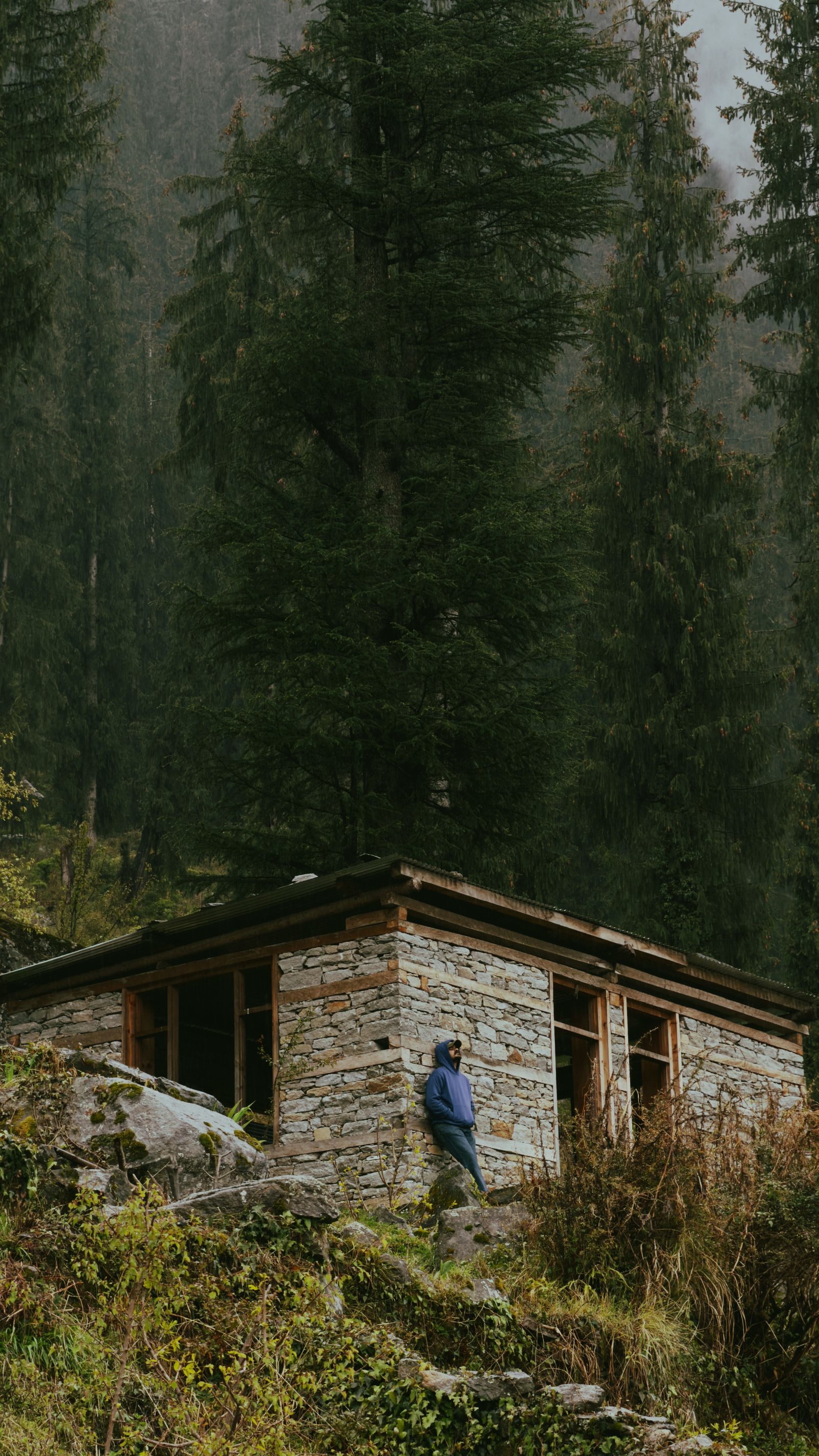 Bir Billing, Rajgundha & Barot Volvo Adventure Tour Package from Delhi – 3 Nights / 4 Days