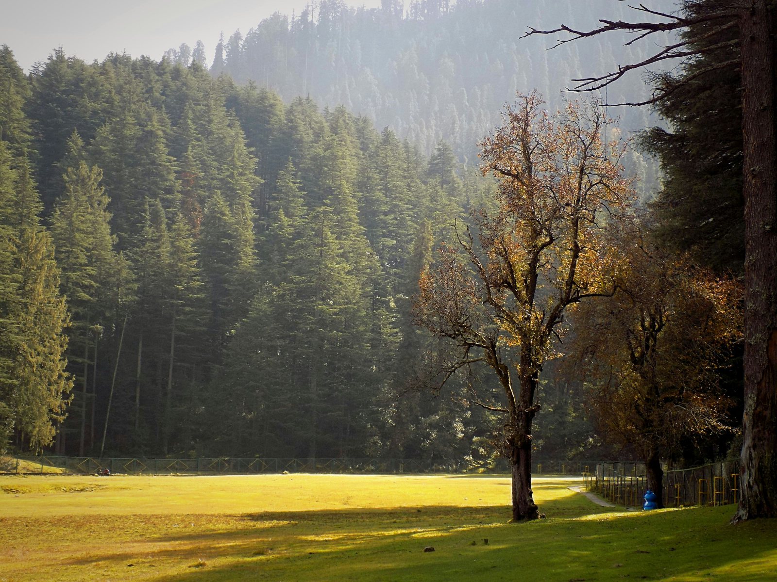 Dalhousie Tour Package – 2 Nights / 3 Days gallery 3