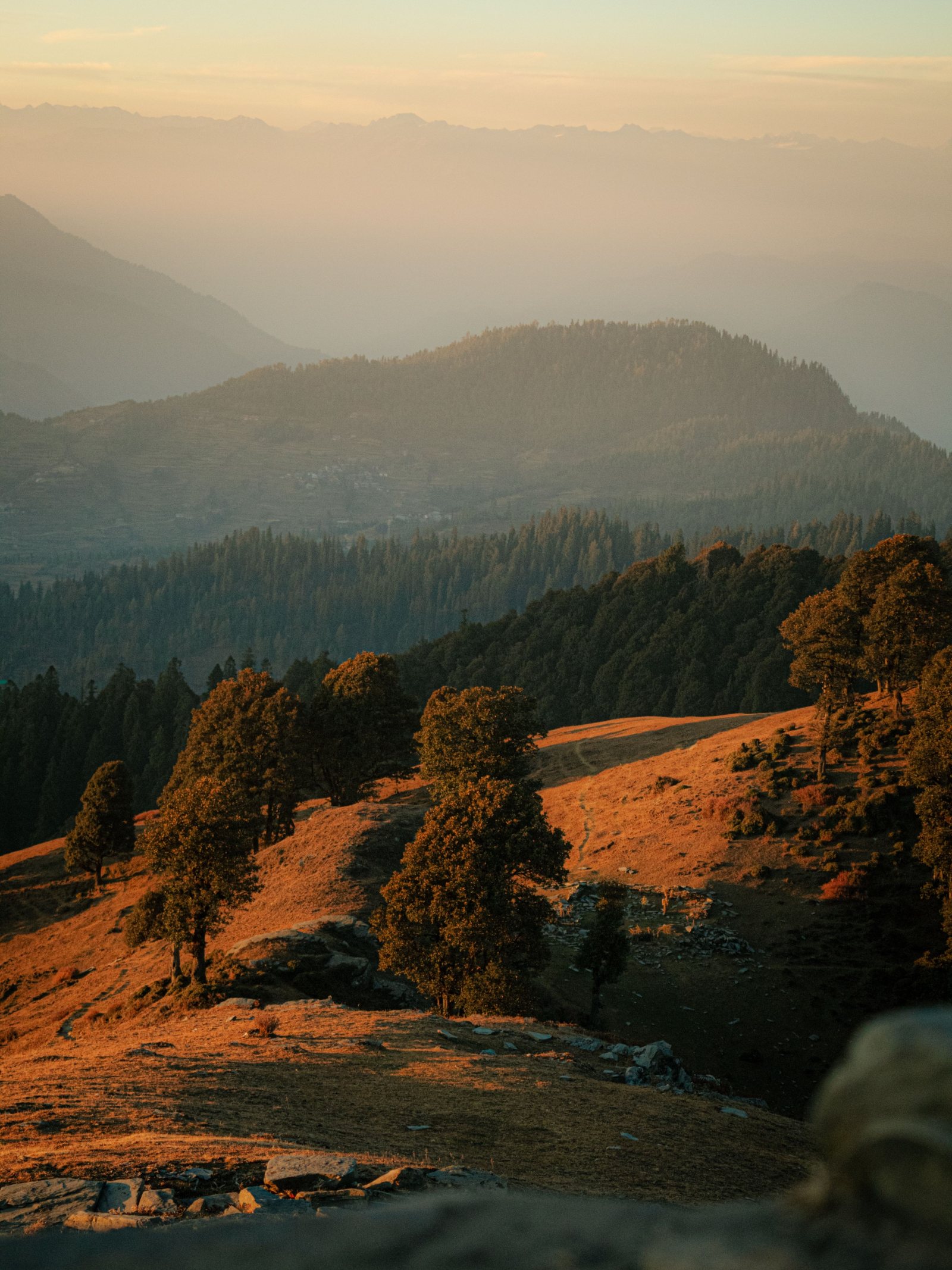 Jibhi & Tirthan Valley Tour Package from Chandigarh – 3 Nights / 4 Days gallery 2