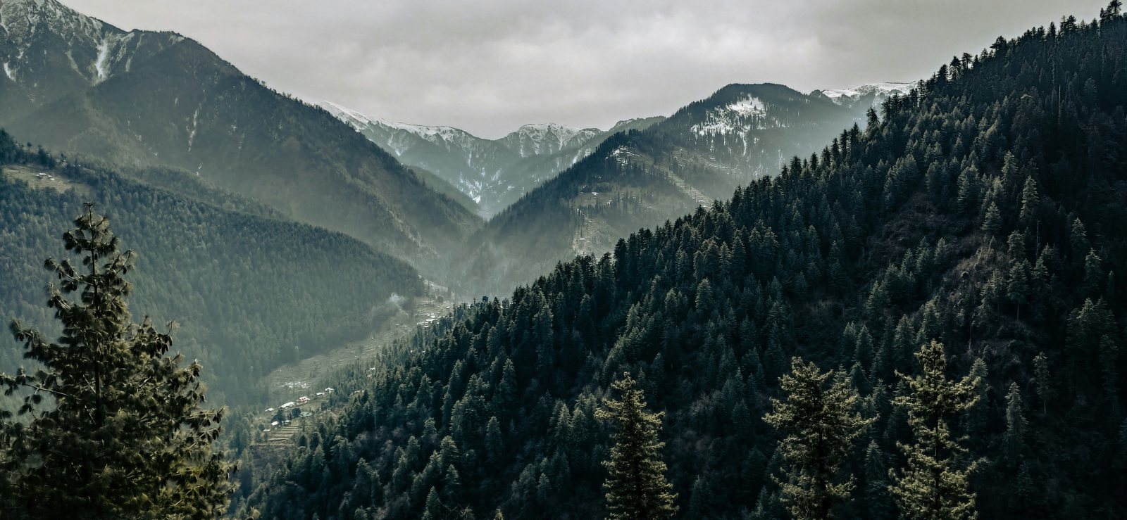 Jibhi & Tirthan Valley Tour Package from Delhi – 4 Nights / 5 Days gallery 2