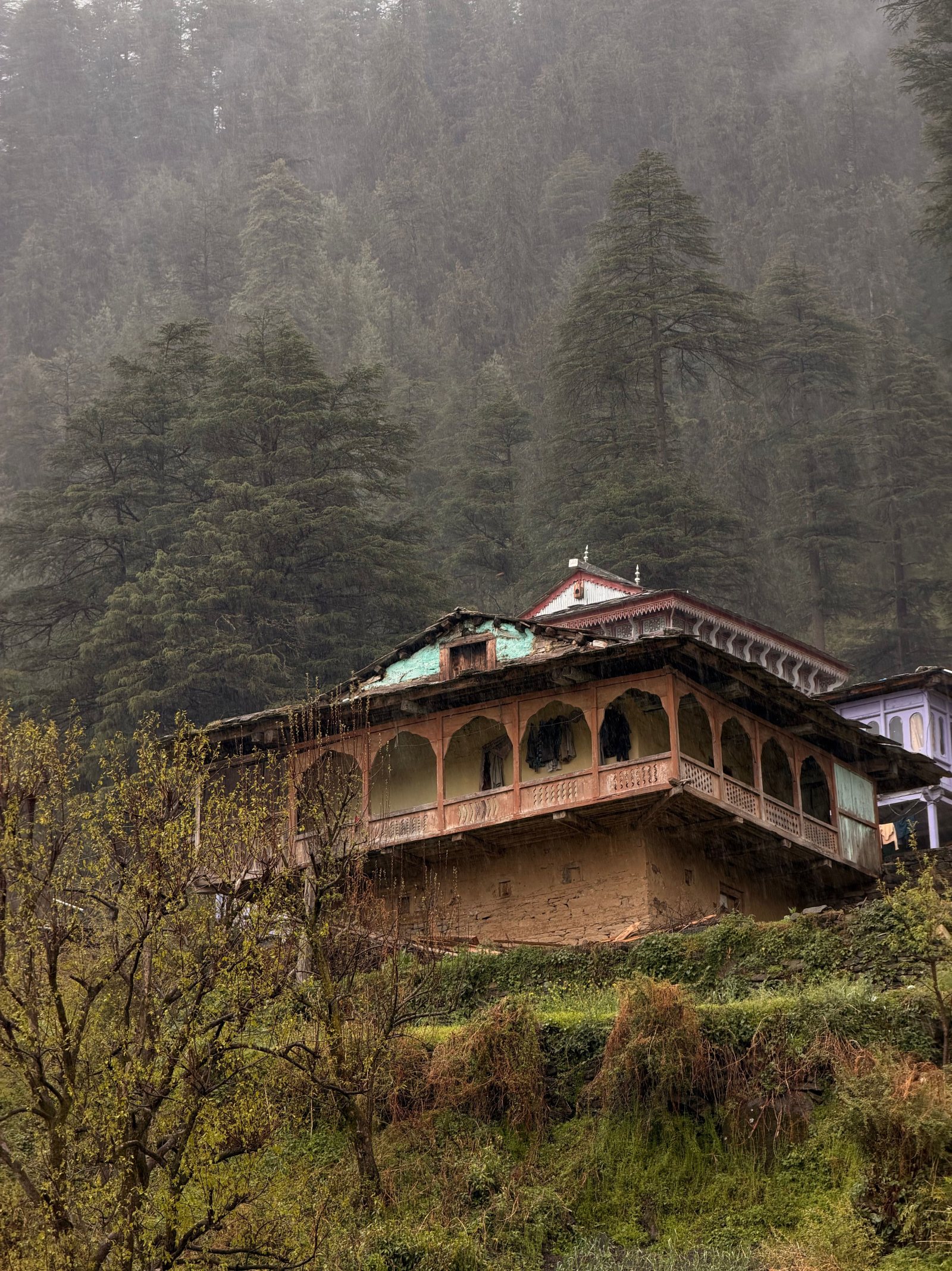 Jibhi & Tirthan Valley Tour Package from Delhi – 4 Nights / 5 Days gallery 3
