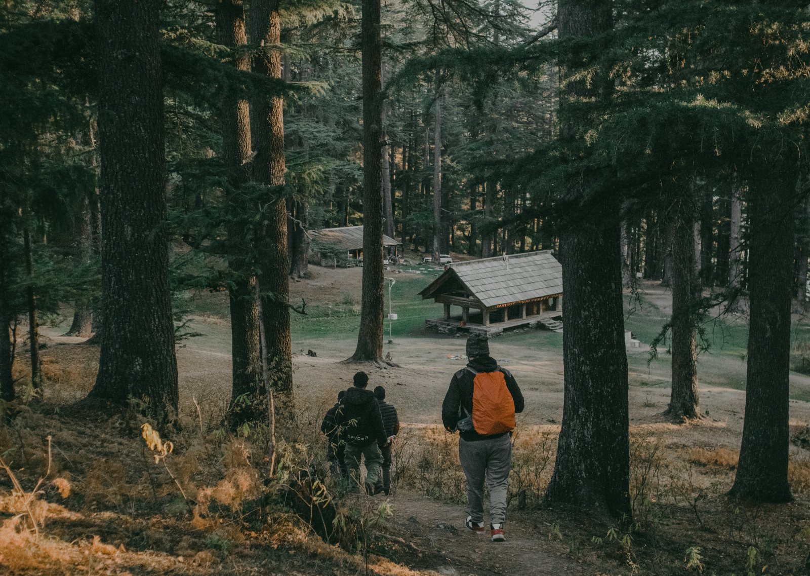 Jibhi & Tirthan Valley Volvo Tour Package from Delhi – 3 Nights / 4 Days gallery 2