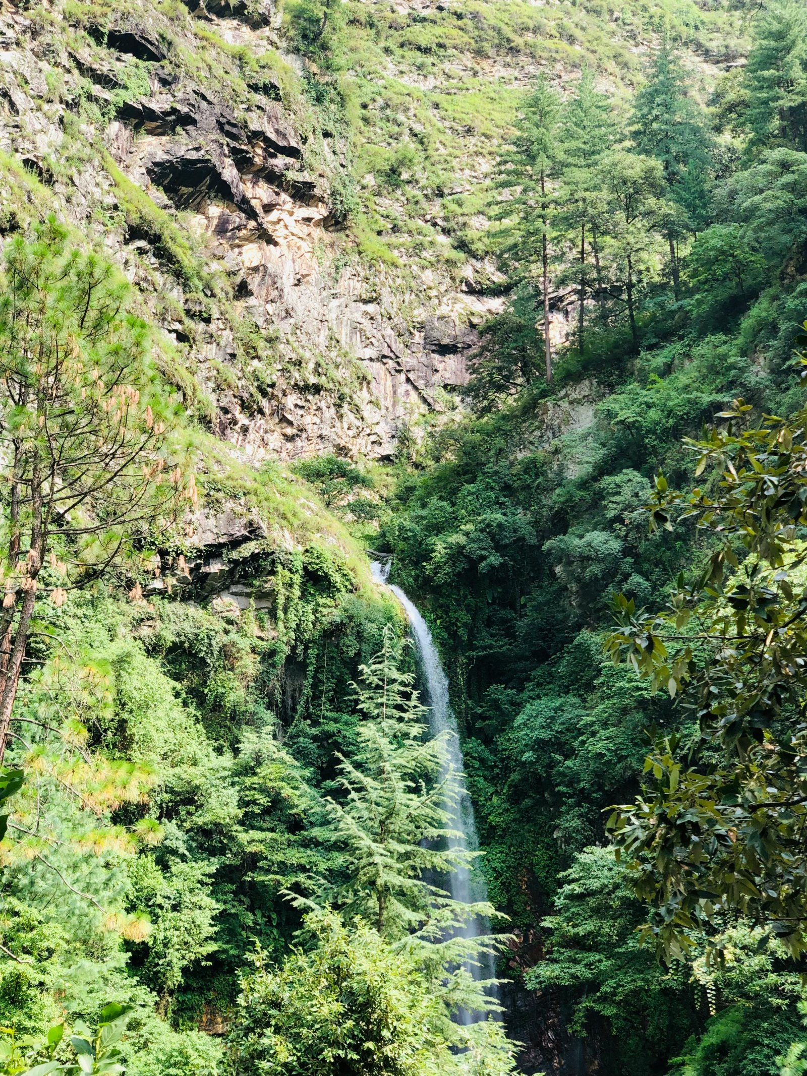 Jibhi & Tirthan Valley Volvo Tour Package from Delhi – 3 Nights / 4 Days gallery 3