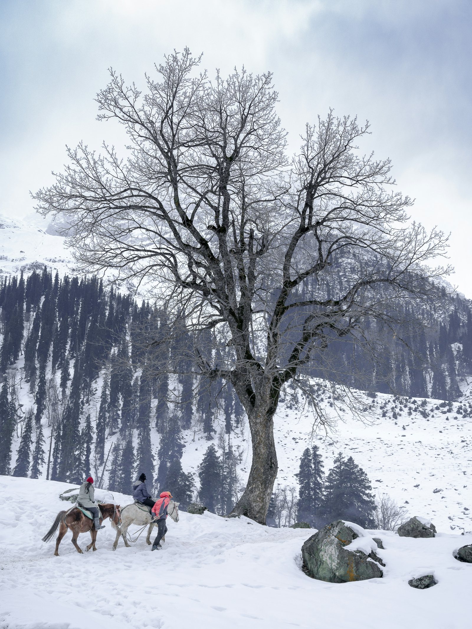 Kashmir Valley Escape gallery 4