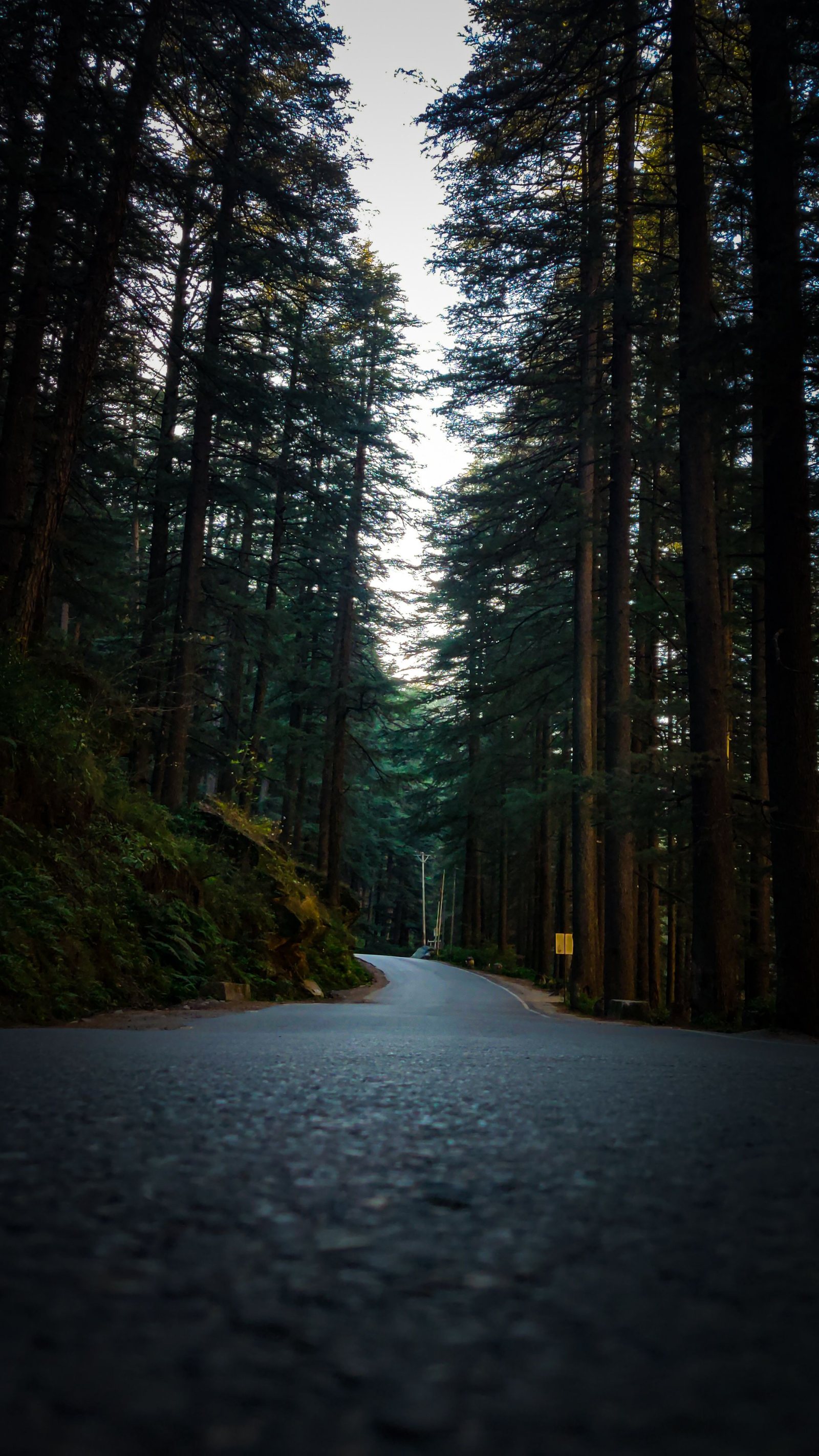 Kasol Kheerganga Tour Package – 3 Nights / 4 Days gallery 2