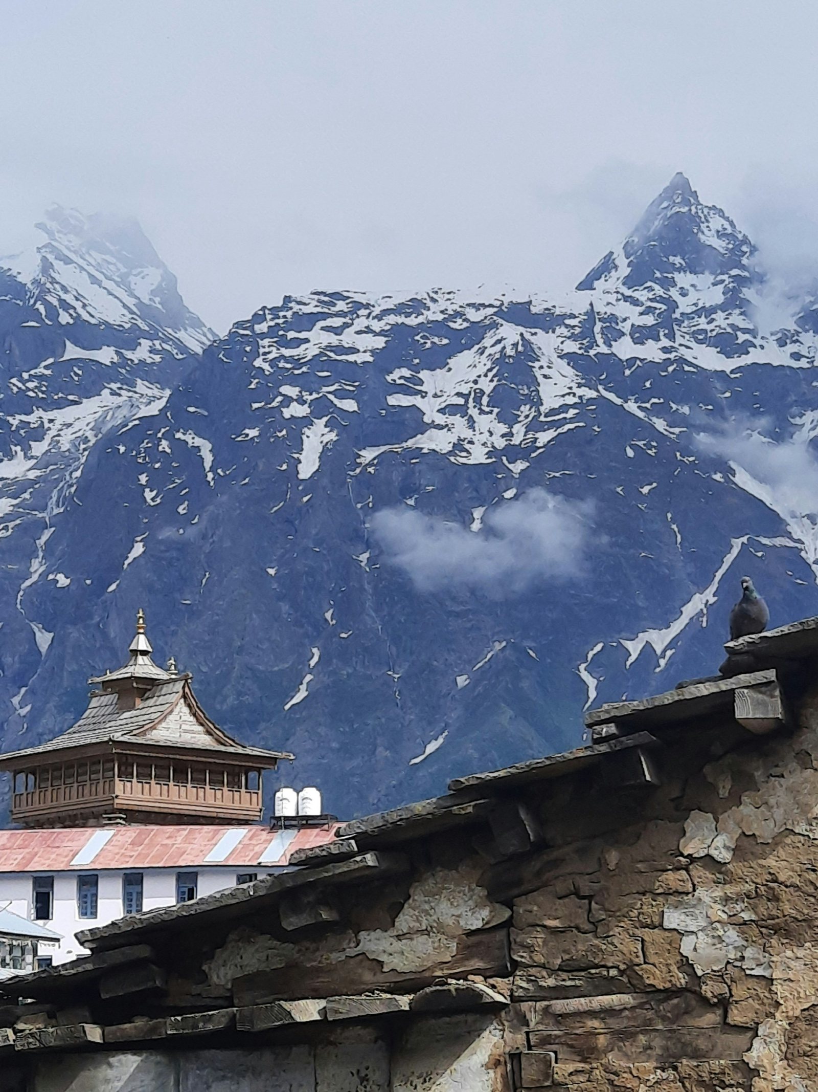 KINNAUR VOLVO TOUR PACKAGE FROM DELHI gallery 2