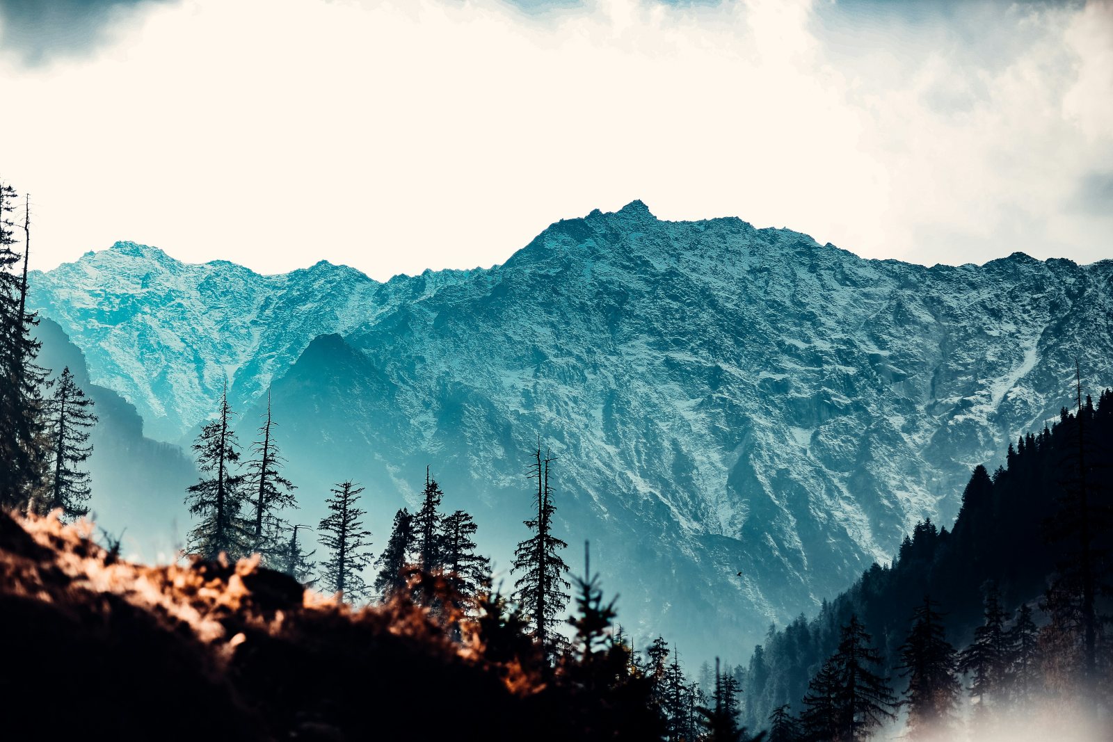 Shimla Manali Family Package – 6 Nights / 7 Days