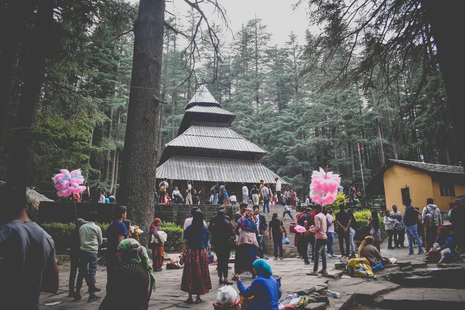 Shimla Manali Tour Package from Chandigarh – 4 Nights / 5 Days gallery 2