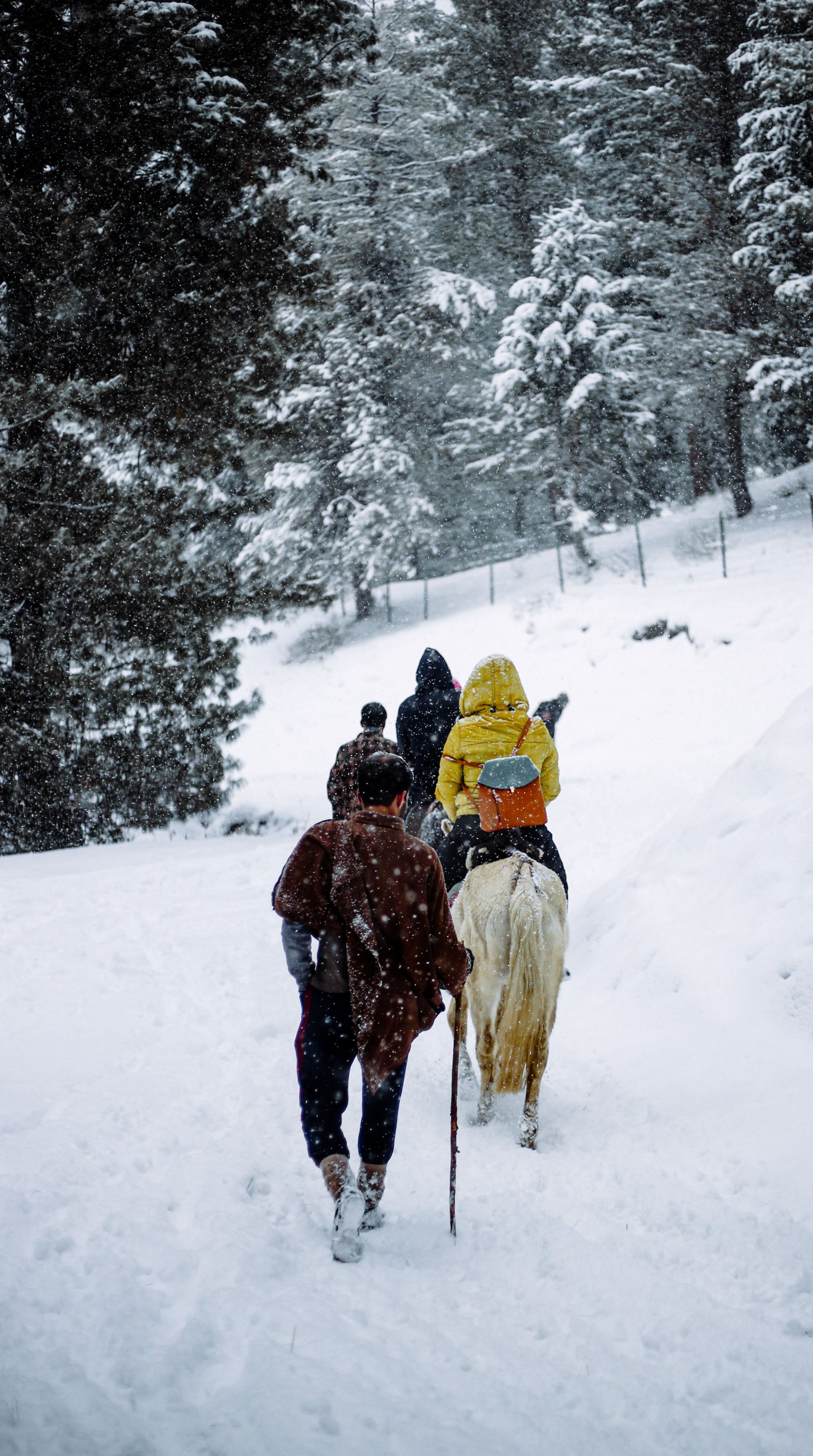Shimla Manali Tour Package from Chandigarh – 5 Nights / 6 Days
