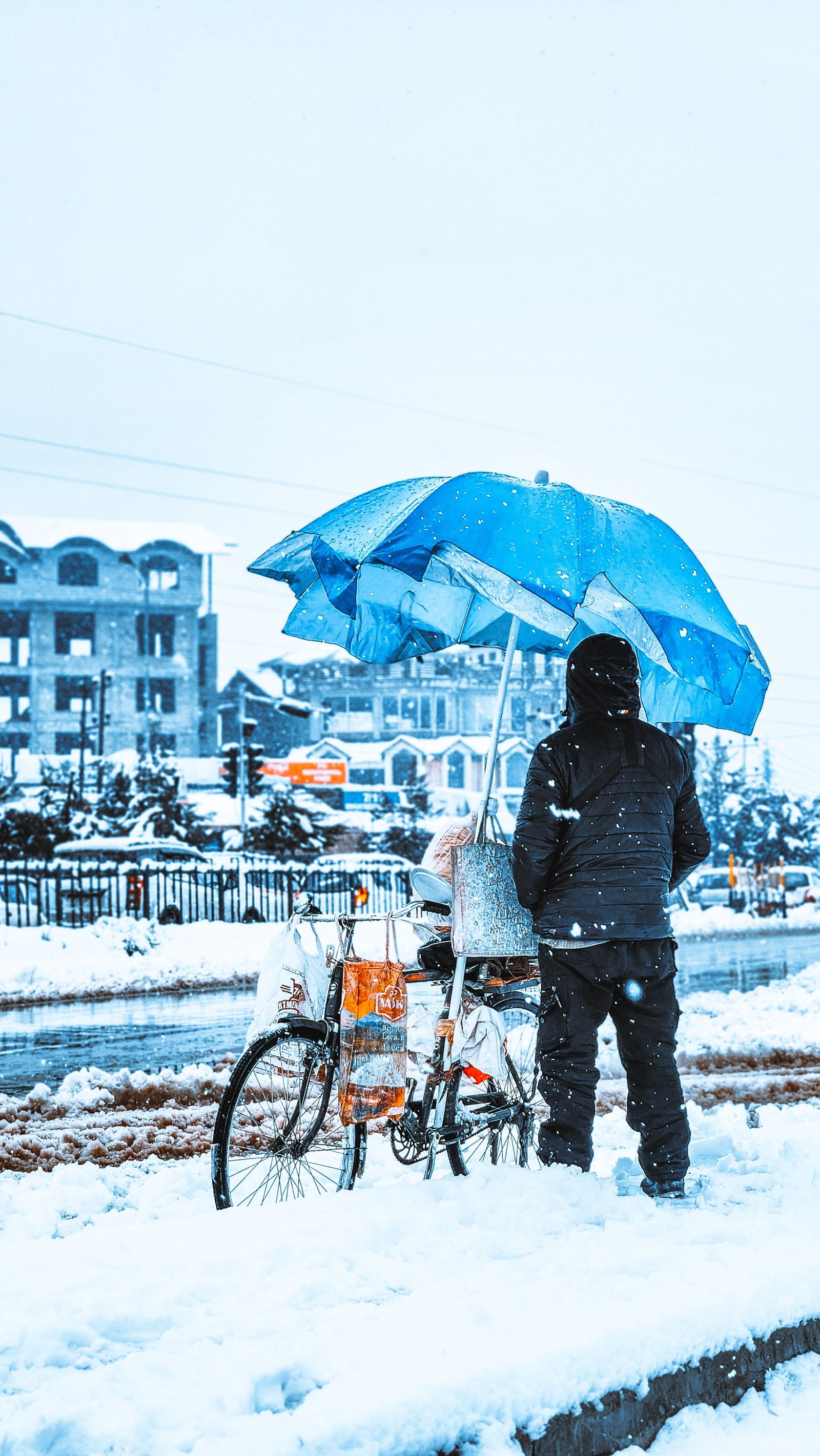 SHIMLA TOUR PACKAGE FROM CHANDIGARH – 2N/3D gallery 3
