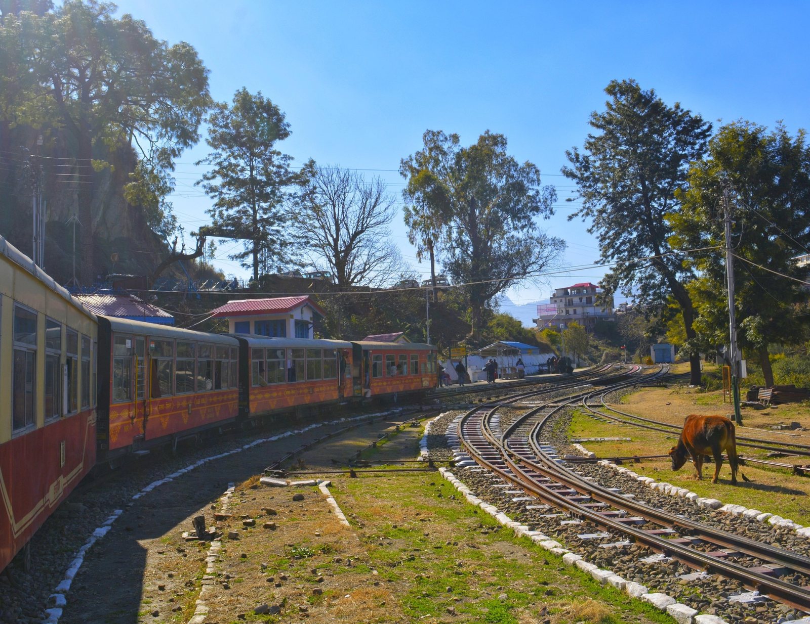 SHIMLA TOUR PACKAGE FROM DELHI – 3N/4D