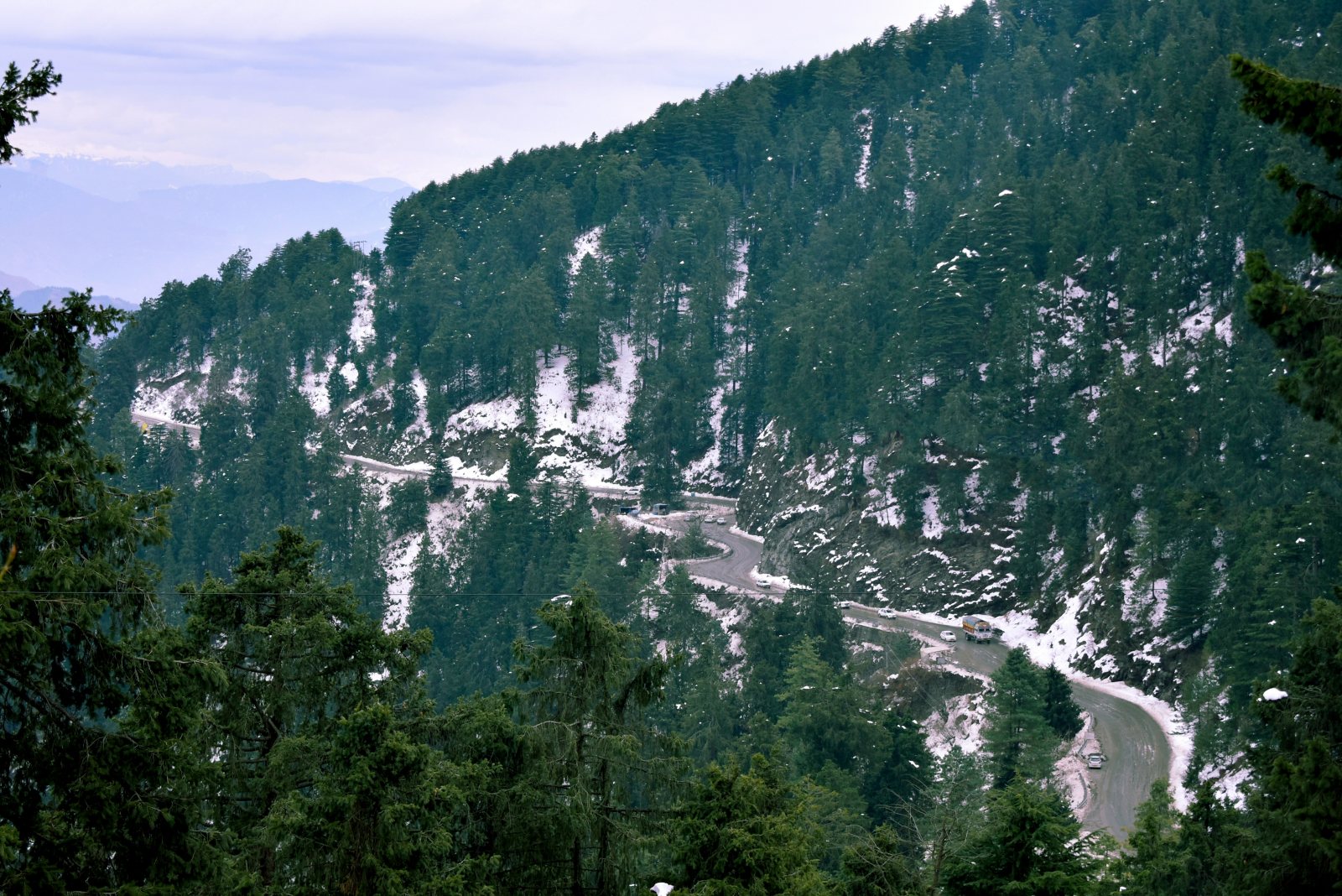 SHIMLA VOLVO & BUS PACKAGE – 3N/4D gallery 2