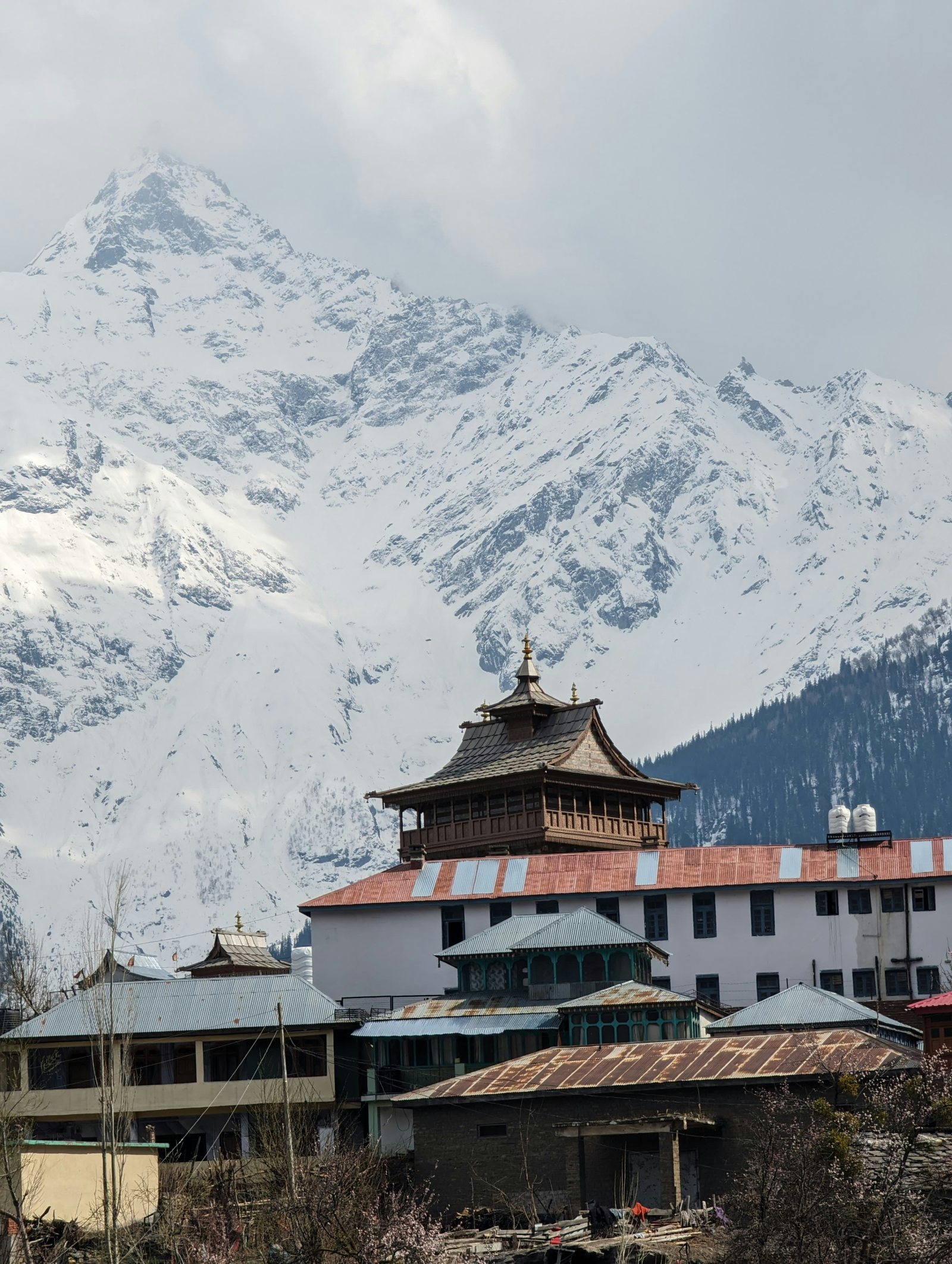 SPITI VOLVO TOUR FROM DELHI VIA SHIMLA | 8N/9D gallery 3